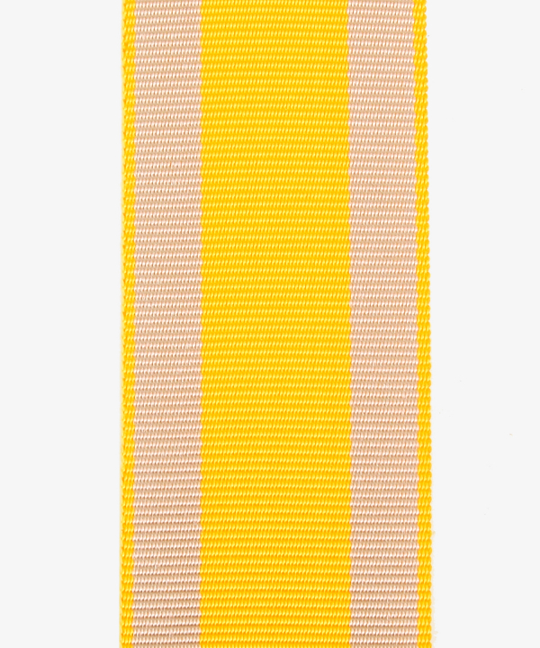 Braunschweig, Waterloo-Medaille (248)